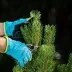 Секатор с наковальней Palisad, 170 мм, усиленный, рукоятки в ПВХ-оболочке, Luxe 605235 купить в Ижевске