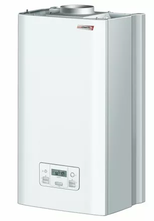 Котел Protherm PANTERA 25 KOV 25 кВт купить в Ижевске