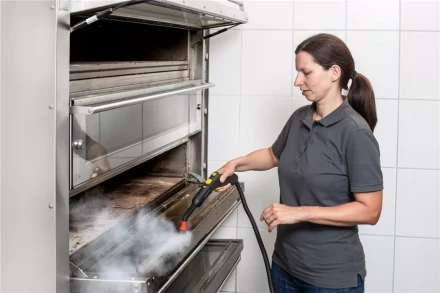 Пароочиститель KARCHER SG 4/4 профи купить в Ижевске