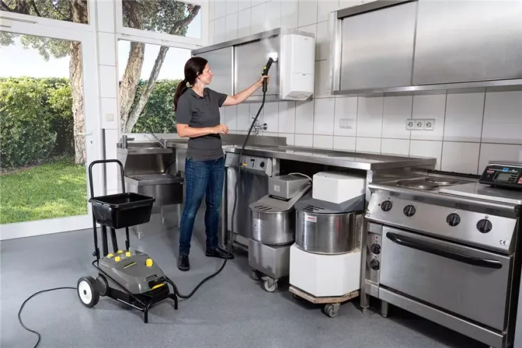 Пароочиститель KARCHER SG 4/4 профи купить в Ижевске