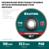 Круги лепестковые керамические торцевые 36598-125-40 купить в Ижевске