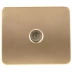 Розетка СВЕТОЗАР "ГАММА" телевизионная, без вставки и рамки, цвет золотой металлик SV-54115-GM купить в Ижевске