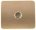 Розетка СВЕТОЗАР "ГАММА" телевизионная, без вставки и рамки, цвет золотой металлик SV-54115-GM купить в Ижевске