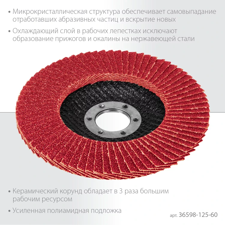 Круги лепестковые керамические торцевые 36598-125-60 купить в Ижевске