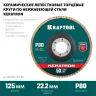 Круги лепестковые керамические торцевые 36598-125-80 купить в Ижевске