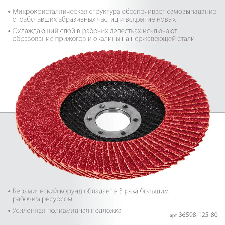 Круги лепестковые керамические торцевые 36598-125-80 купить в Ижевске