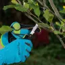 Нож садовый Palisad, 165 мм, складной, окулировочный, пластиковая рукоятка, 790547 купить в Ижевске