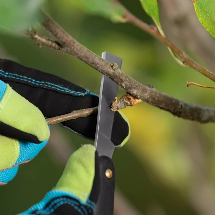 Нож садовый Palisad, 165 мм, складной, копулировочный, пластиковая рукоятка, 790557 купить в Ижевске