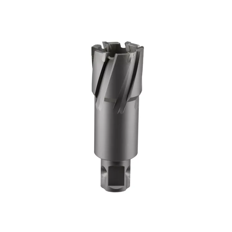 Сверло корончатое твердосплавное ALTECO TCT 28х50 82791 купить в Ижевске