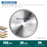 Диск пильный PRECISION, повышенный ресурс 36952-250-30 купить в Ижевске