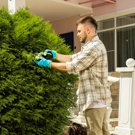 Секатор прямого реза Palisad, 190 мм, пластиковые рукоятки, 60456 купить в Ижевске