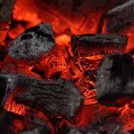 Уголь берёзовый, 5 кг Россия Camping Palisad 69662 купить в Ижевске