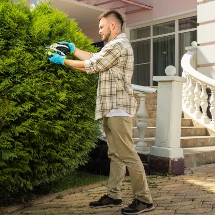 Секатор прямого реза Palisad, 210 мм, пластиковые рукоятки, 60466 купить в Ижевске