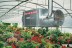 Подвесной дизельный теплогенератор BALLU FARM 90 M/C oil купить в Ижевске