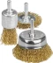STAYER &quot;PROFESSIONAL&quot;. Набор щеток-крацовок для дрели, витая стальная латунированная проволока 0,3мм, диск. 50мм, чаш. 50мм, кистевая 25мм, 3шт 35152-H3_z01 купить в Ижевске