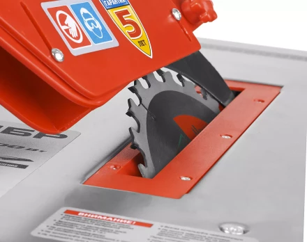 Станок распиловочный ЗПДС-200-800 серия МАСТЕР купить в Ижевске