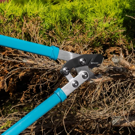 Сучкорез прямого реза Palisad 60597, 750 мм, двухрычажный механизм, двухкомпонентные рукоятки, LUXE купить в Ижевске