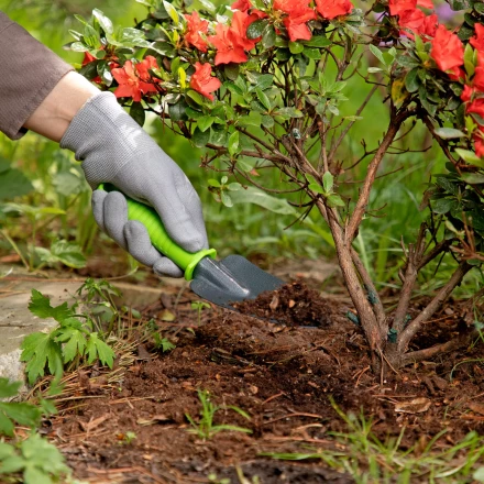 Совок узкий, защитное покрытие, пластиковая рукоятка Palisad 626528 купить в Ижевске