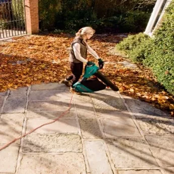 Воздуходувка-пылесос BOSCH ALS 30 W/EEU электрическая купить в Ижевске