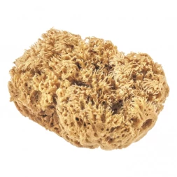 Губка натуральная для декоративных покрытий Matrix 86817