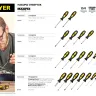 Набор STAYER "MASTER": Отвертки слесарные, двухкомпонентная рукоятка, магнитный наконечник, 2 / 6мм - 100мм, 2шт 2513-H2_z01 купить в Ижевске