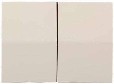 Выключатель СВЕТОЗАР &quot;ЭФФЕКТ&quot; двухклавишный, без вставки и рамки, цвет бежевый, 10A/~250B SV-54434-B купить в Ижевске