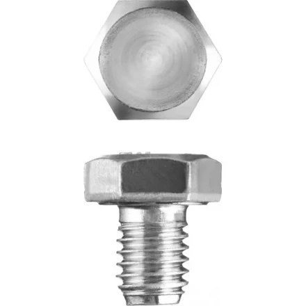 Болт ЗУБР &quot;МАСТЕР&quot; с шестигранной головкой, ГОСТ 7798-70, класс прочности 5.8, оцинкованный, M8x10мм, 5кг 303080-08-010 купить в Ижевске