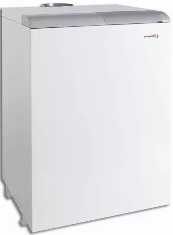 Котел Protherm 40 TLO купить в Ижевске