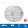 ЗУБР 100 мм, №30, мокрое шлифование, алмазный гибкий шлифовальный круг АГШК, Профессионал (29866-030) купить в Ижевске