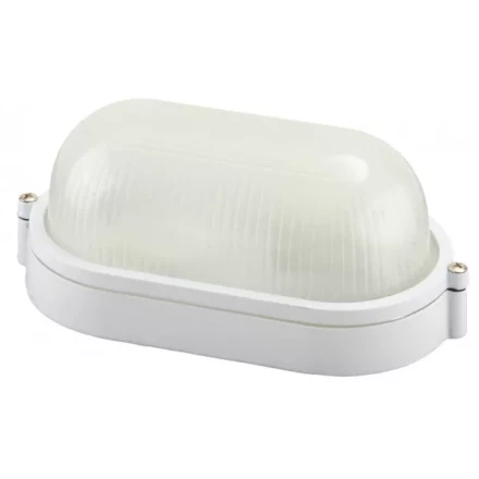 Светильник уличный СВЕТОЗАР влагозащищенный, овал, цвет белый, 60Вт SV-57201-W купить в Ижевске